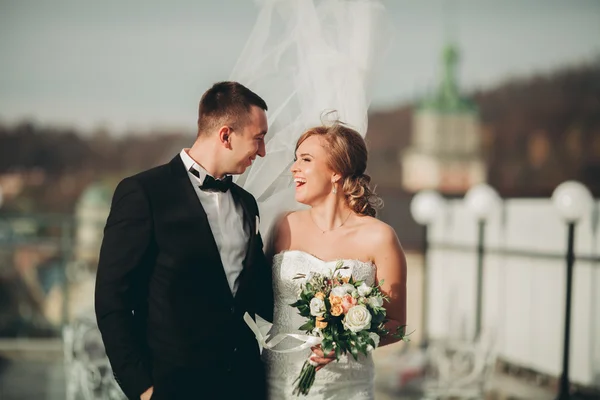 Stilvoll schönes Hochzeitspaar küsst und umarmt sich im Hintergrund Panoramablick auf die Altstadt — Stockfoto