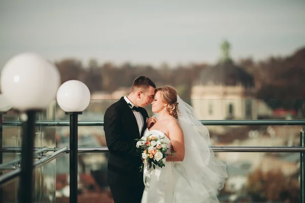 Стильная красивая свадебная пара целуется и обнимается на заднем плане панорамным видом на старый город — стоковое фото