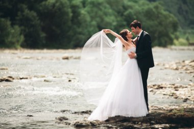 Güzel düğün çifti bir dağ nehrinin kıyısında taşlarla öpüşüp kucaklaşıyorlar.