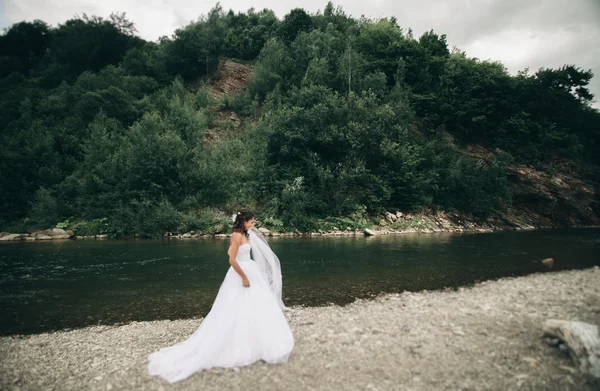 Красивая роскошная молодая невеста в длинном белом свадебном платье и вуаль, стоящая у реки с горами на заднем плане — стоковое фото