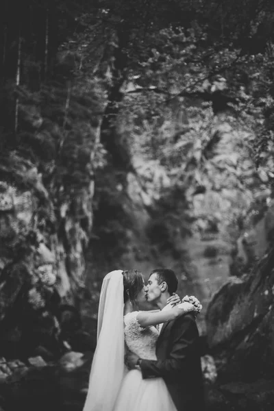 Hermosa pareja de boda estancia en piedra del río en las montañas escénicas —  Fotos de Stock