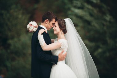 Yakışıklı romantik damat ve güzel gelin Nehri manzaralı dağlarında yakınında poz