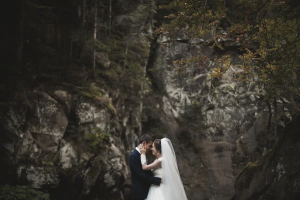 Красива весільна пара залишається на камені річки в мальовничих горах — стокове фото