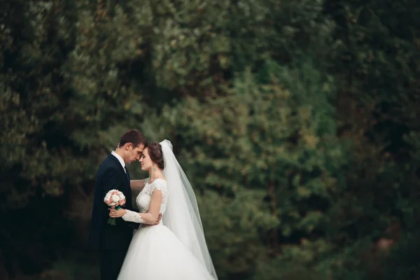 Yakışıklı romantik damat ve güzel gelin Nehri manzaralı dağlarında yakınında poz — Stok fotoğraf