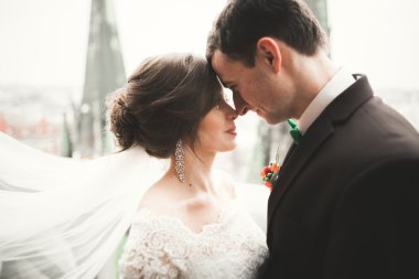 Şehir Manzaralı Balkonda duran güzel düğün çift yeni evliler