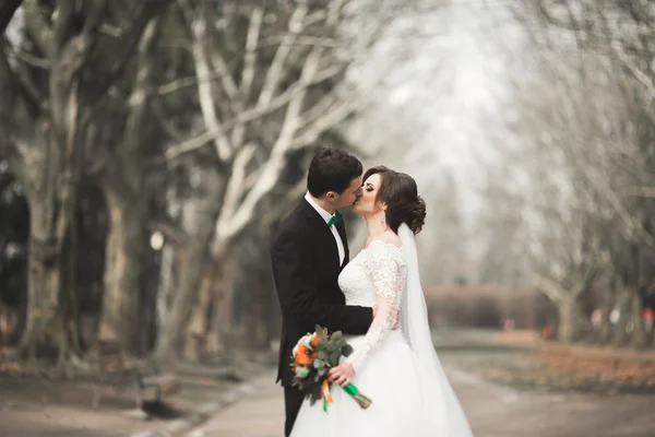 Elegante coppia di sposi felici ed eleganti che passeggiano nel parco il giorno del loro matrimonio con bouquet — Foto Stock