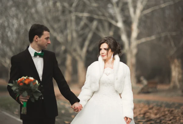 Hermosa pareja de recién casados felices y elegantes caminando en el parque el día de su boda con ramo — Foto de Stock