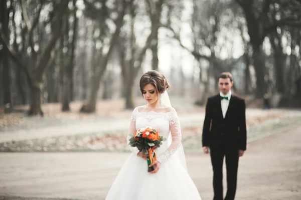 Casal elegante de recém-casados elegantes felizes andando no parque em seu dia de casamento com buquê — Fotografia de Stock