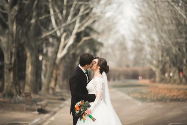 Elegante coppia di sposi felici ed eleganti che passeggiano nel parco il giorno del loro matrimonio con bouquet — Foto Stock