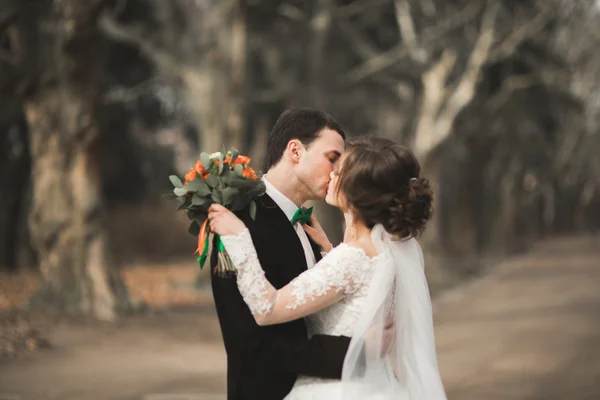 Casal elegante de recém-casados elegantes felizes andando no parque em seu dia de casamento com buquê — Fotografia de Stock