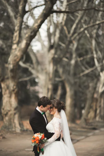 Elegante coppia di sposi felici ed eleganti che passeggiano nel parco il giorno del loro matrimonio con bouquet — Foto Stock