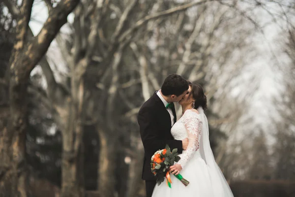 Bella coppia di nozze felice passeggiando nel parco nella loro giornata con bouquet — Foto Stock