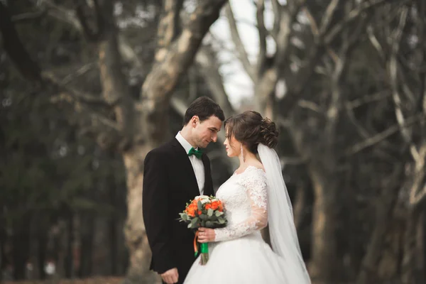 Casal de casamento feliz bonita andando no parque em seu dia com buquê — Fotografia de Stock