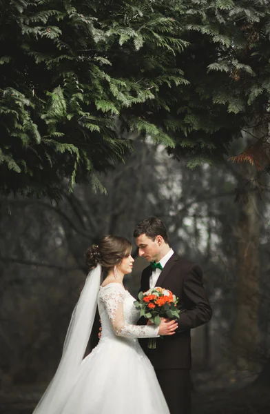 Belo casal de recém-casados elegantes felizes andando no parque em seu dia de casamento com buquê — Fotografia de Stock