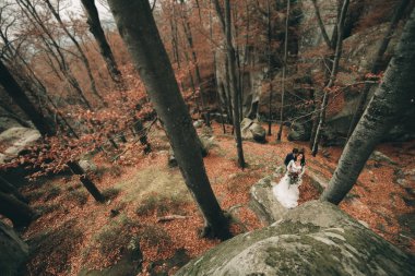 Muhteşem gelin, damat öpüşme ve sarılma Gösterim çarpıcı uçurum yakın: