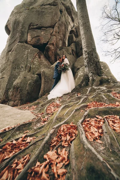 Linda noiva, noivo beijando e abraçando perto das falésias com vistas deslumbrantes — Fotografia de Stock