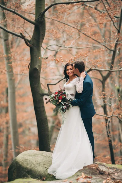 Preciosa novia, novio besándose y abrazándose cerca de los acantilados con impresionantes vistas — Foto de Stock