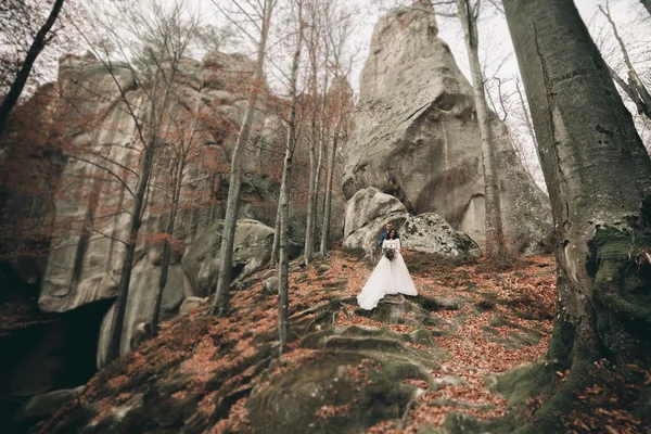 Preciosa novia, novio besándose y abrazándose cerca de los acantilados con impresionantes vistas — Foto de Stock