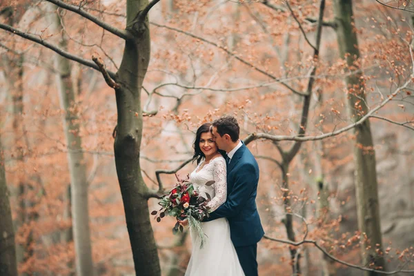 Splendida sposa, sposo baciare e abbracciare vicino alle scogliere con vista mozzafiato — Foto Stock