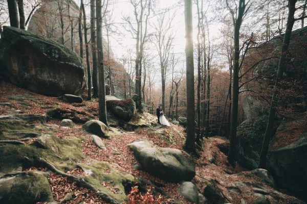 Preciosa novia, novio besándose y abrazándose cerca de los acantilados con impresionantes vistas — Foto de Stock