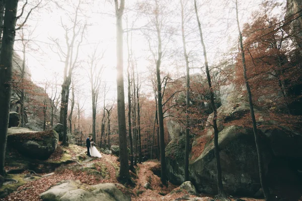 Preciosa novia, novio besándose y abrazándose cerca de los acantilados con impresionantes vistas — Foto de Stock