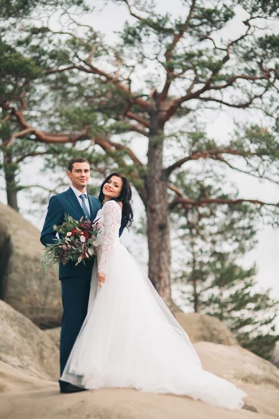 Preciosa novia, novio besándose y abrazándose cerca de los acantilados con impresionantes vistas —  Fotos de Stock