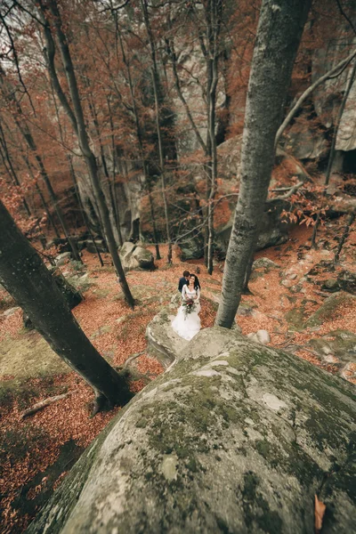 豪華な花嫁、新郎のキスとハグ付近の素晴らしい景色を望む崖 — ストック写真