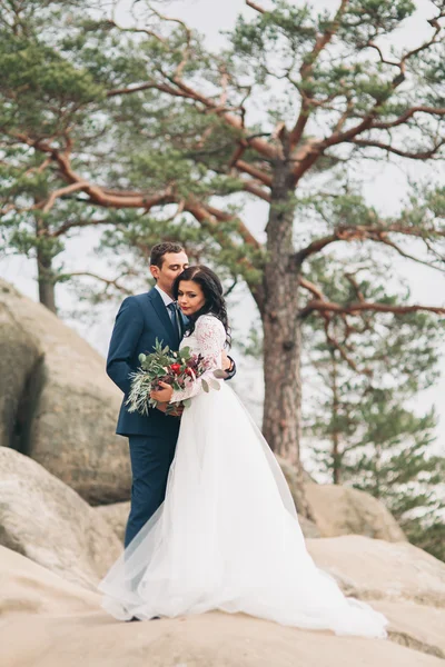 Splendida sposa, sposo baciare e abbracciare vicino alle scogliere con vista mozzafiato — Foto Stock