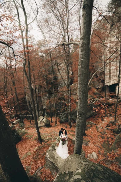 Prachtige bruid, bruidegom zoenen en knuffelen in de buurt van de kliffen met prachtig uitzicht — Stockfoto