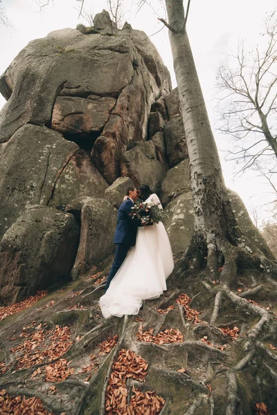 Preciosa novia, novio besándose y abrazándose cerca de los acantilados con impresionantes vistas —  Fotos de Stock