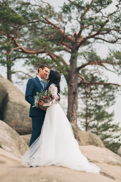 华丽的新娘，新郎亲吻和拥抱附近的悬崖美景 — 图库照片