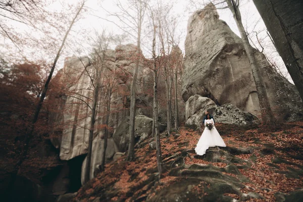 Splendida sposa, sposo baciare e abbracciare vicino alle scogliere con vista mozzafiato — Foto Stock