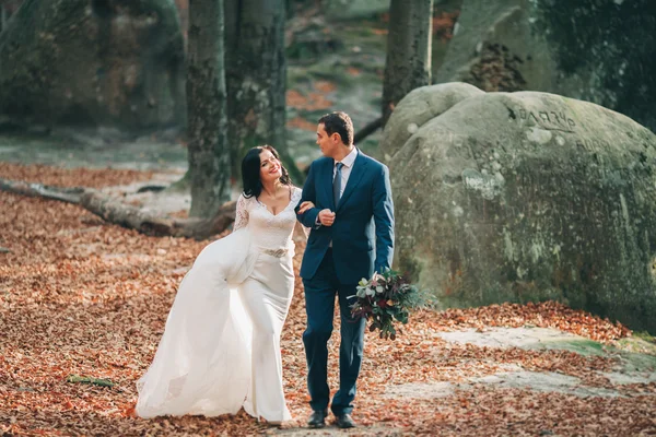 Magnifique mariée, marié embrasser et embrasser près des falaises avec une vue imprenable — Photo