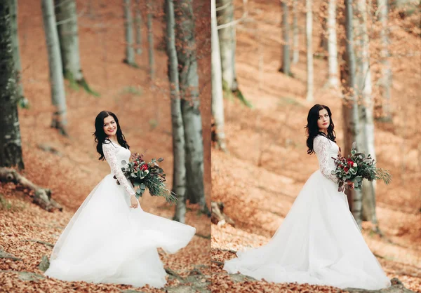 Gorgeous bride, groom kissing and hugging near the cliffs with stunning views — Stock Photo, Image