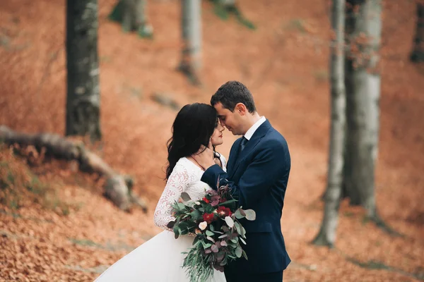 Великолепная невеста, поцелуи и объятия у скал с потрясающим видом — стоковое фото