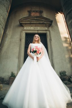 Muhteşem romantik zarif stil güzel beyaz gelin arka planda antik barok kalesinde