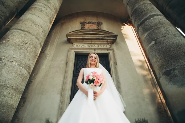 Muhteşem romantik zarif stil güzel beyaz gelin arka planda antik barok kalesinde