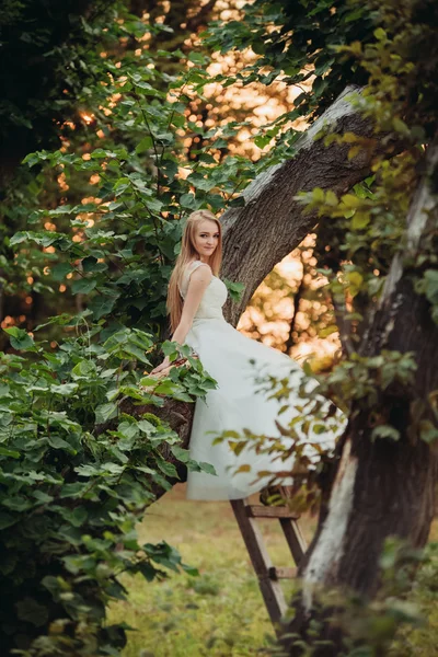 Blonde romantic gentle stylish beautiful caucasian bride sitting on tree — Stock Photo, Image