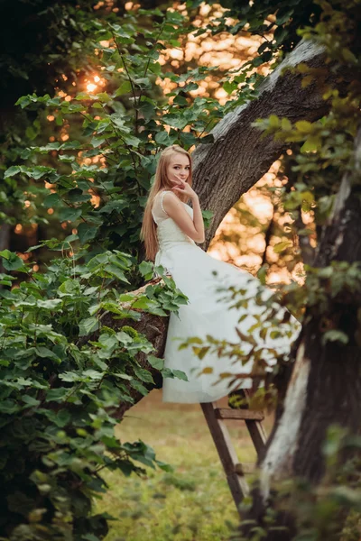 Blonde romantic gentle stylish beautiful caucasian bride sitting on tree — Stock Photo, Image