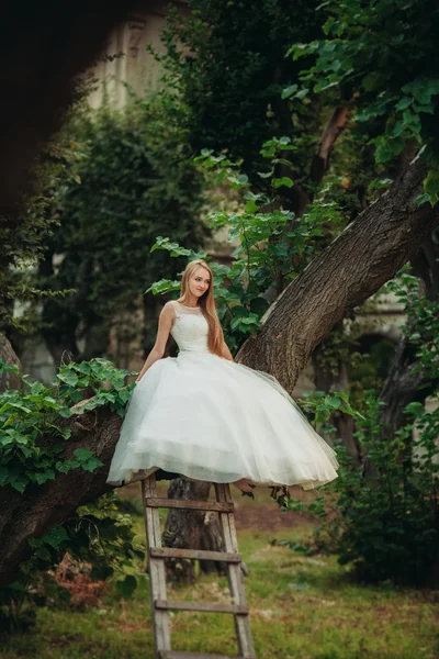 Loira romântica doce elegante bela noiva caucasiana sentada na árvore — Fotografia de Stock