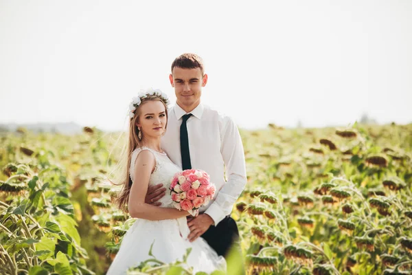 Matrimonio coppia baciare e posa in un campo di girasoli — Foto Stock