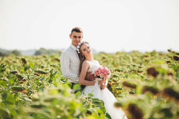 Casamento casal beijando e posando em um campo de girassóis — Fotografia de Stock