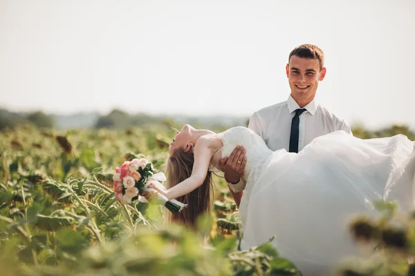 Düğün çift öpüşme ve ayçiçeği tarlasında poz — Stok fotoğraf