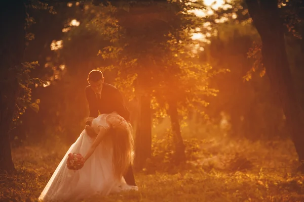 Hermosa pareja romántica de recién casados abrazándose en el parque en la puesta del sol —  Fotos de Stock