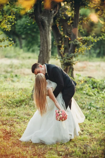 해 가질 때아름다운 낭만적 인 신혼 부부가 공원에서 포옹하고 있다 — 스톡 사진
