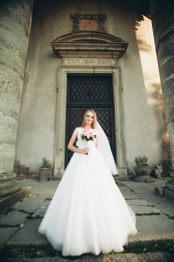 Muhteşem romantik zarif stil güzel beyaz gelin arka planda antik barok kalesinde