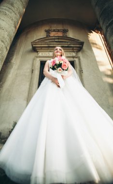 Muhteşem romantik zarif stil güzel beyaz gelin arka planda antik barok kalesinde