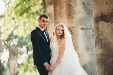 Güzel, romantik bir düğün. Yeni evliler. Eski kalenin yakınlarında sarılıyorlar.