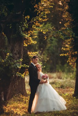Güzel romantik bir çift yeni evliler gün batımında parkta sarılıyorlar.