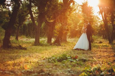 Güzel romantik bir çift yeni evliler gün batımında parkta sarılıyorlar.